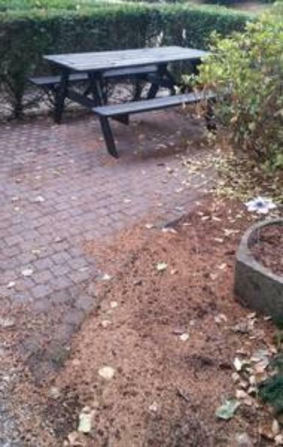 Appartement De Groote Peel Nederweert Dış mekan fotoğraf